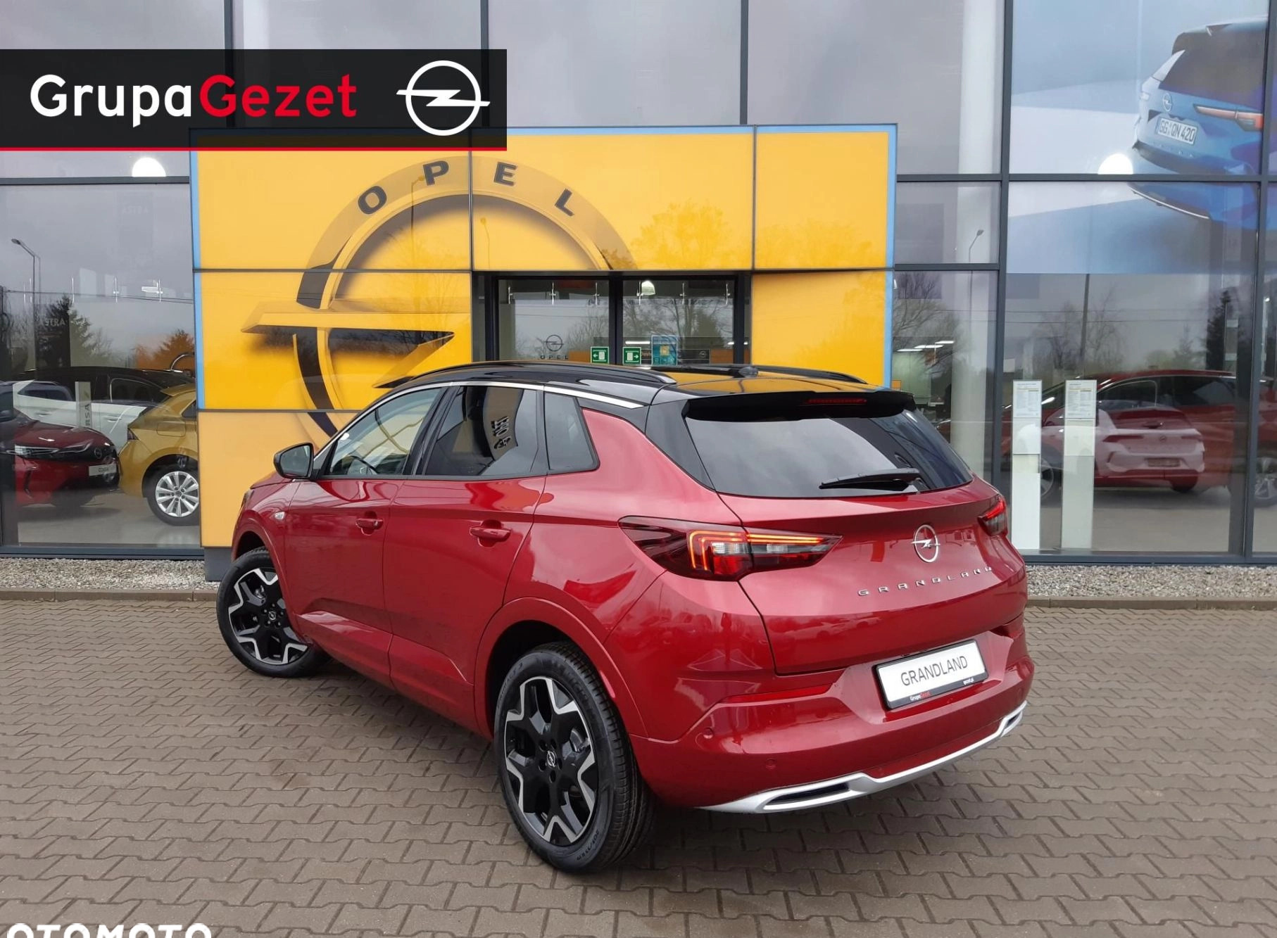 Opel Grandland cena 142990 przebieg: 5, rok produkcji 2024 z Białobrzegi małe 106